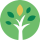 Avatar for Chop Chop Tree Care - Ogden
